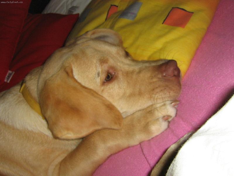 Foto: Charlie