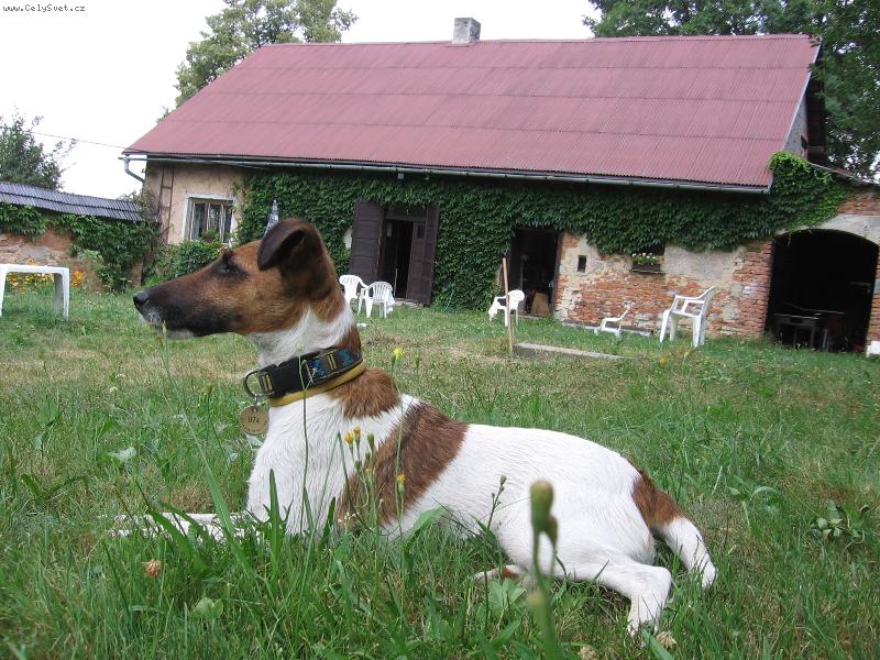 Foto: Pan� domu
