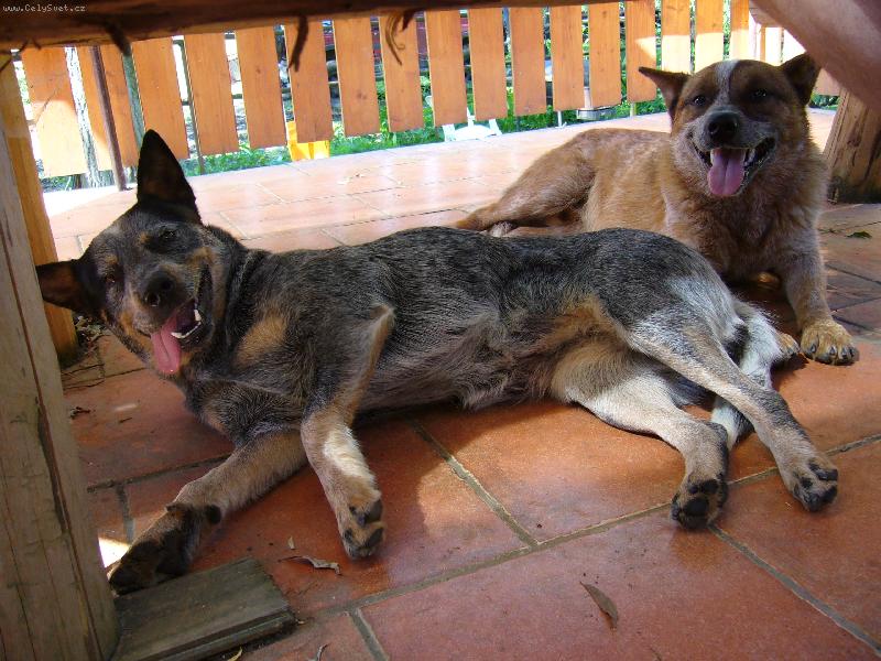 Foto: ACD-vz�cn� chvilka klidu....