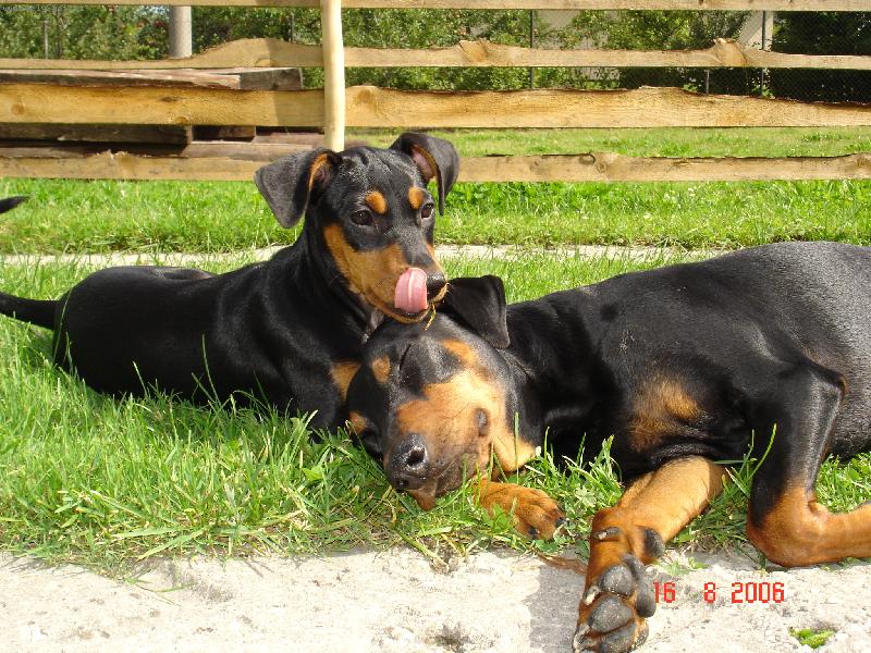 Foto: Odpoledn� siesta