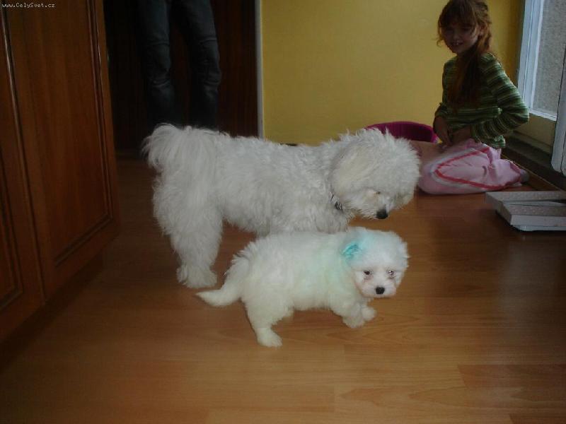 Foto: Nell�a a Eika