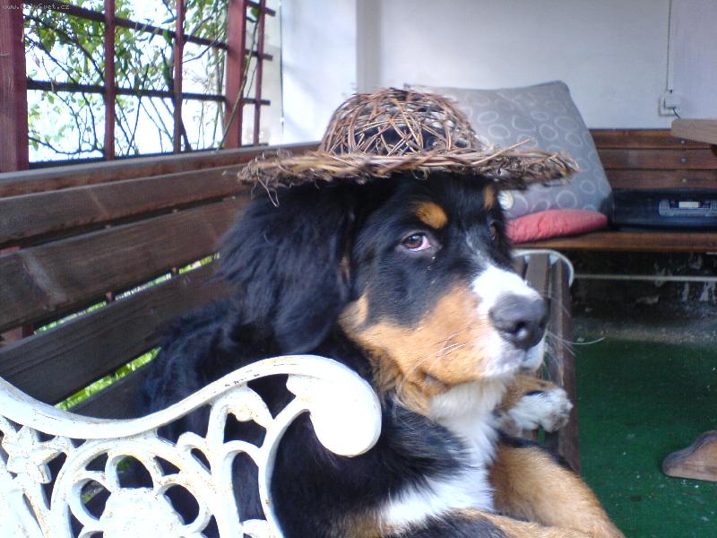 Foto: Sony