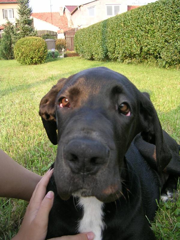 Foto: Kuk-Sam
