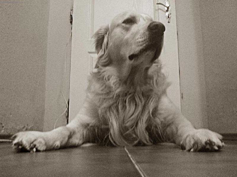 Foto: Ps� Sfinga