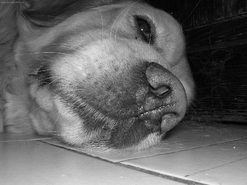 Foto: Kesi-=o)