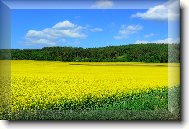Puzzle on-line