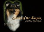Chovatelska stanice ps: SPARKS OF THE TEMPEST