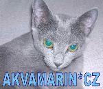 Chovatelska stanice ps�: AKVAMARIN*CZ